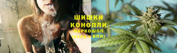 spice Верея