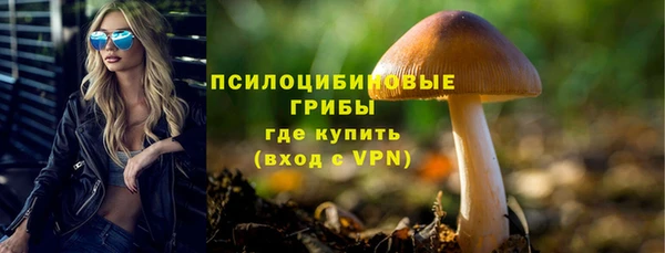 spice Верея