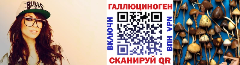 Купить закладки  Дно  Псилоцибиновые грибы ЛСД 